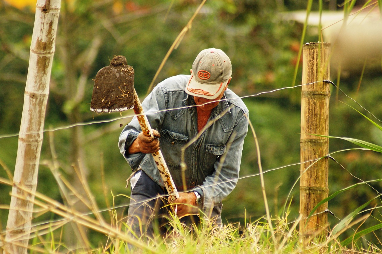 Lavoratori agricoli in campo, simbolo di pensione anticipata e requisiti agevolati.