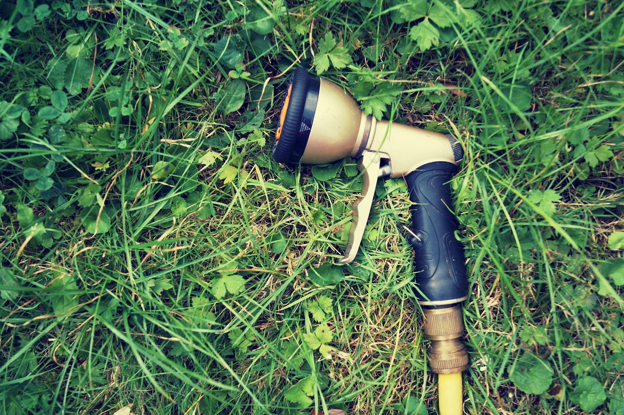 Prato secco e bruciato dal sole con macchie di terra asciutta.