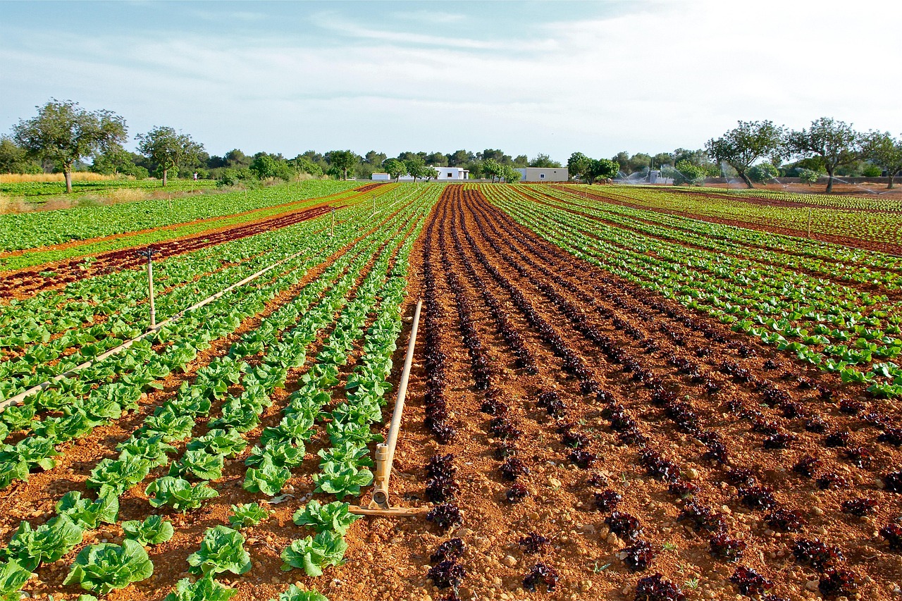 Agrotecnici al lavoro nei campi, simbolo della previdenza nel settore agricolo.